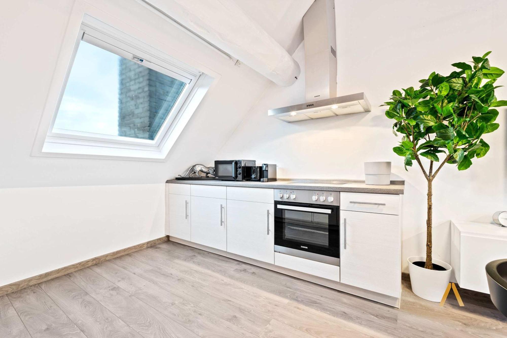 Apartment Charming 1br Loft In Ville-haute,