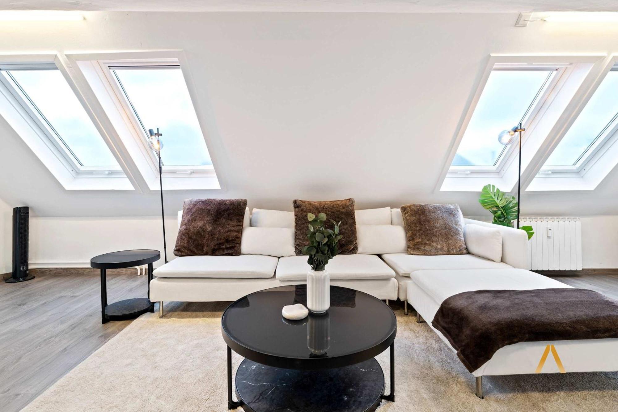 Charming 1br Loft In Ville-haute, Apartment